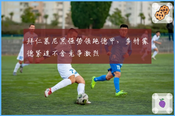 拜仁慕尼黑强势领跑德甲，多特蒙德紧追不舍竞争激烈